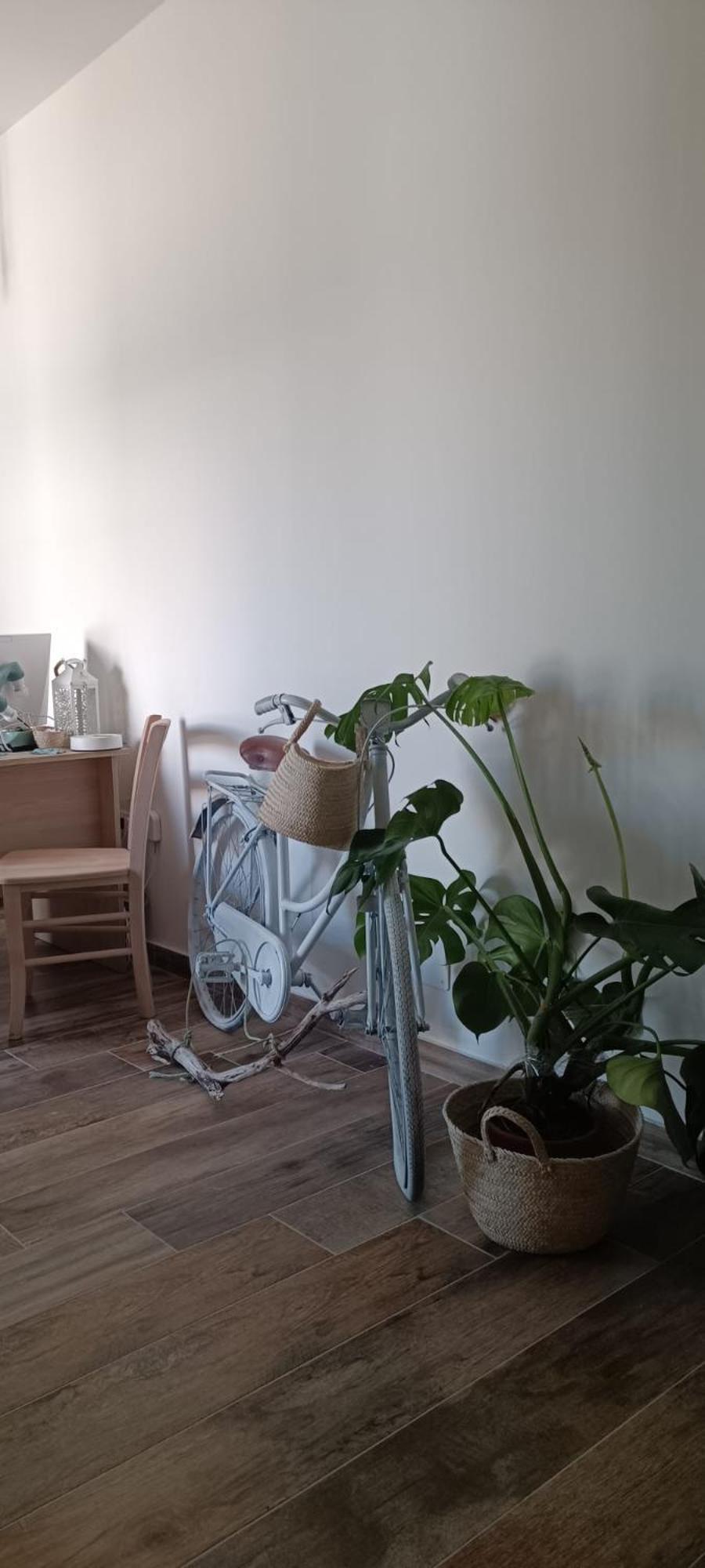 Green Suite Palermo Παλέρμο Εξωτερικό φωτογραφία